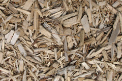 biomass boilers Meidrim